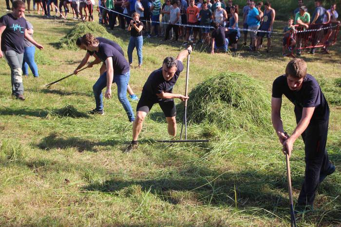 Amasako Txakolin Eguna 2018 28 1537029132446