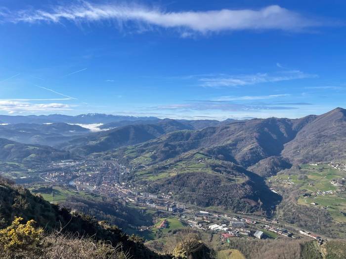 Tolosa goitik