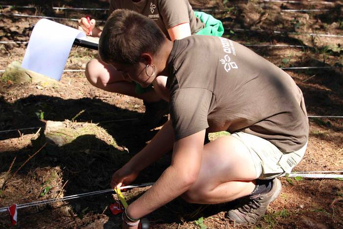 Gerra 3 1562842928964