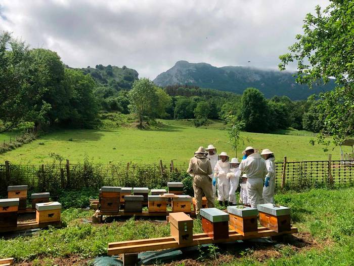 Ongi etorri baserrira