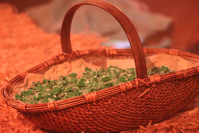 Olentzero eta Mari Domingi b 11 1640342794835