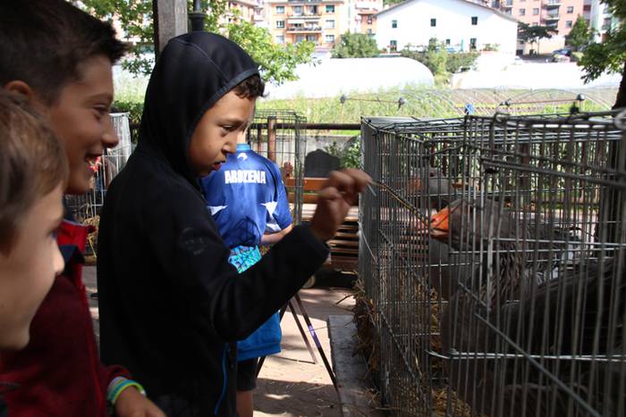 Piperra baino askoz gehiago 3 1505654562105