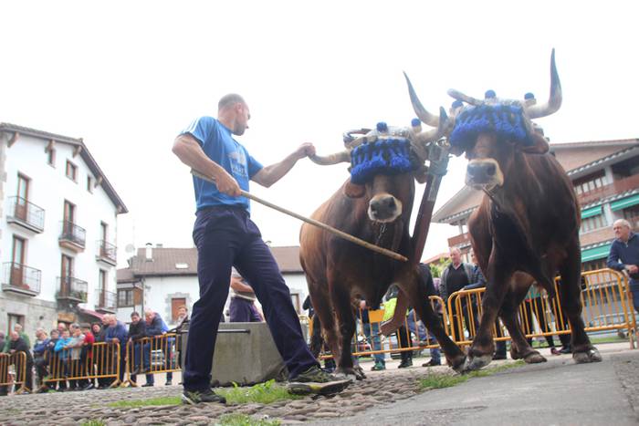 San Isidro Eguna Amasa Astea 9 1526395715405