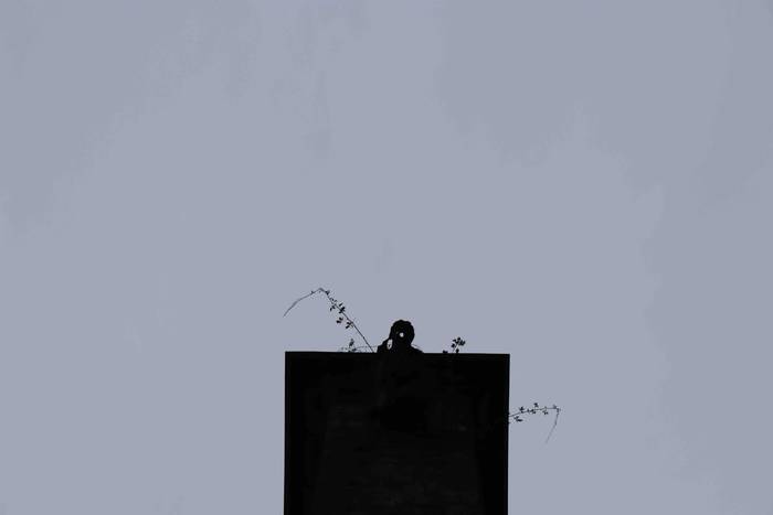 Muskerraren Bidea egin dute  30 1609069183274