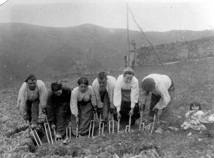 Zuri-beltzeko argazkia, kolo 2 1597830350846