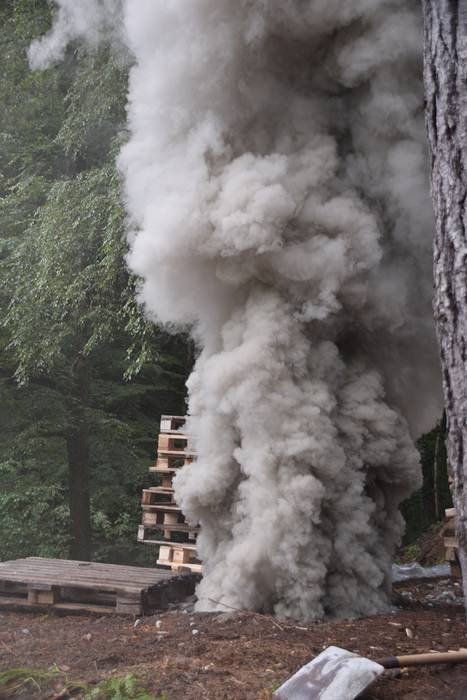 Elduain, Goikoetxe karobia p 65 1506772734895