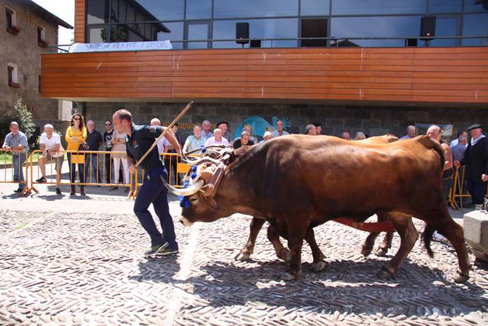 Idi erakustaldia Asteasuko p 23 1494859927325