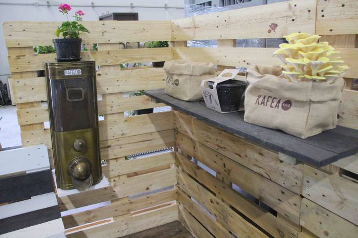 Ingurumena zainduz, kafea bi 23 1621270033403