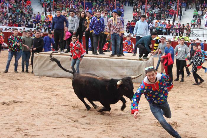 Inauteriak 2020, zezenak Ost 21 1582222551148