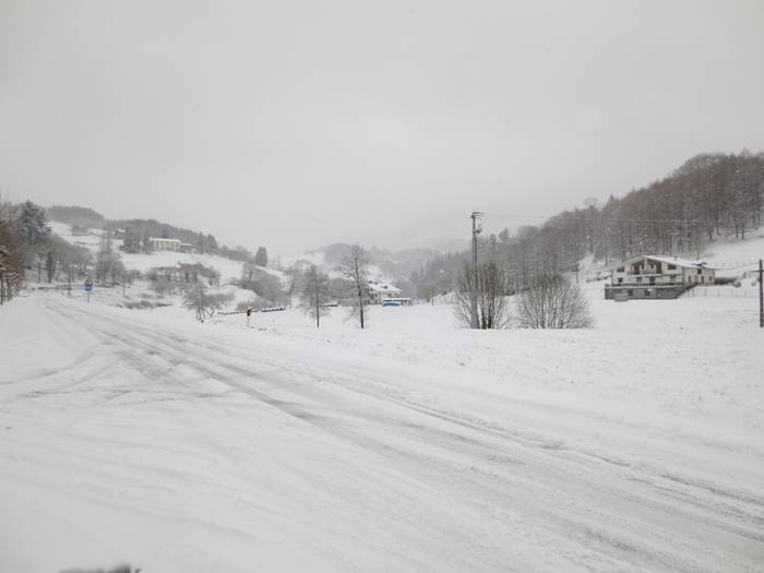 Argazki galeria: Tolosaldea, 38 1519809886212