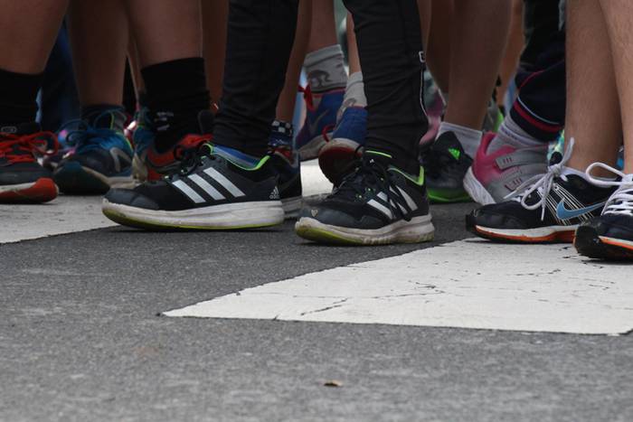 Estutu txikia arnasari  15 1478951403295