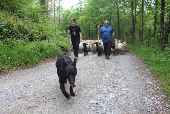 Larre irekiera ekitaldi bere 51 1588336801652