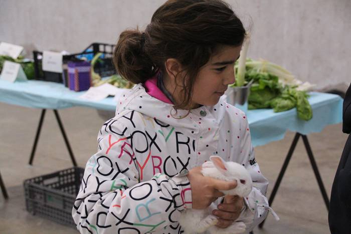 V. Udaberriko merkatua berrobin 8 1463915450380