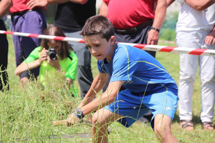 Erabaki dira Euskal Herriko  78 1532871123020