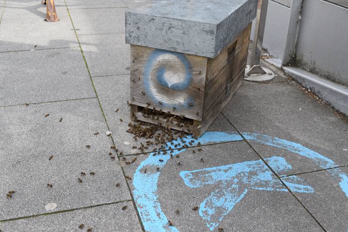 20.000 erle inguru Usabalen 2 1493910661771