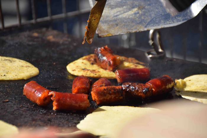 Zaldunita 2019. Karrozak eta 62 1551627093160