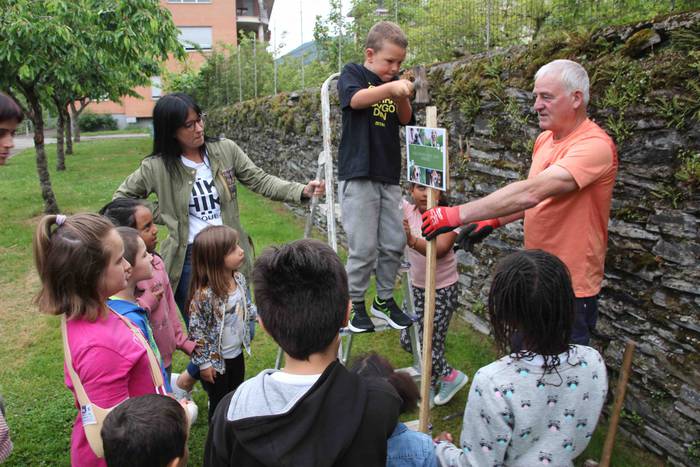 Txakur kakak jasotzeko karte 31 1653302378663