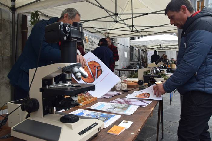 Zuhaitz Azoka, Tolosa, 2017 25 1486819706288