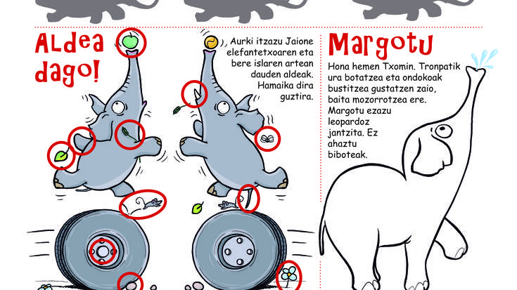 2.243. zenbakiko erantzunak