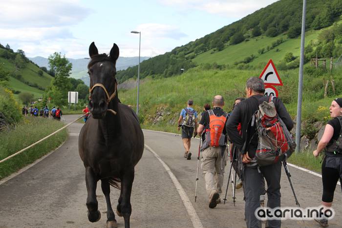 XIV orduak 2016 gorriti 54 1464510398207