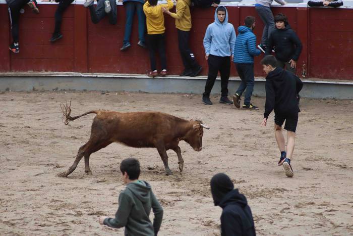 Aurtengo azken lasterketa Ze 8 1646583941830