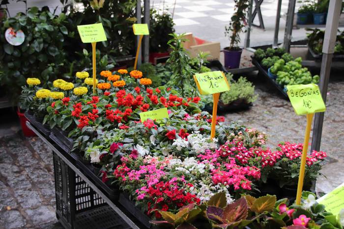 Lore eta Landare Azoka 2019 14 1558171901315