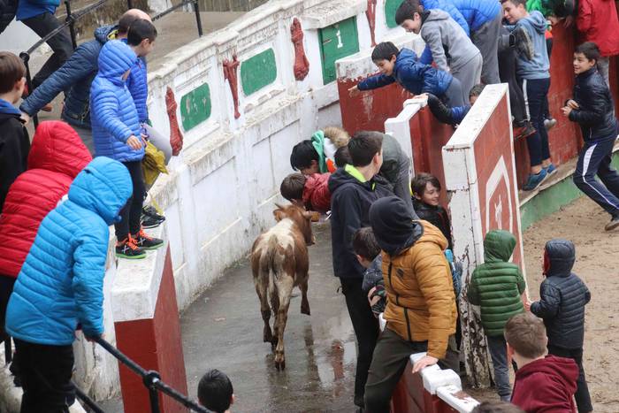 Txikienak zezen txikien aurr 31 1552240891465