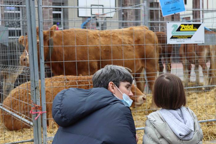 Oholtza gainera igo dira ira 12 1636308512684