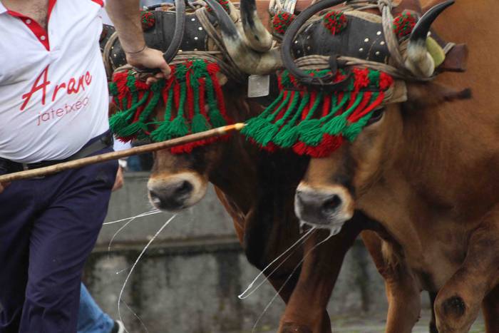 Zizurkil festak 2018 xiba et 32 1534452699881