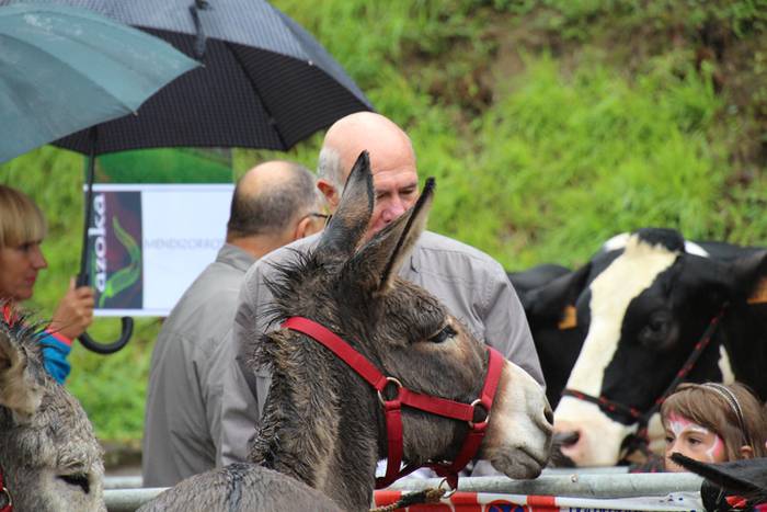 Ibarra, azoka eta piparra 79 1474219228329