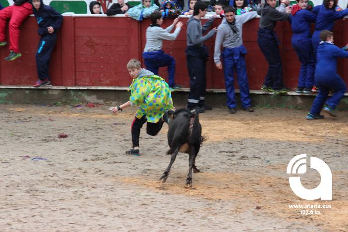 Zinbuluka ta zanbuluka 20 1487957694797