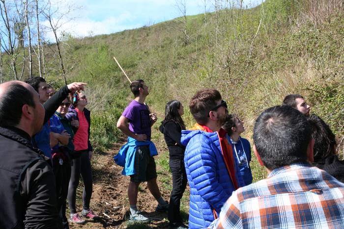 Basoari begira Anoetan 2 1554970848484