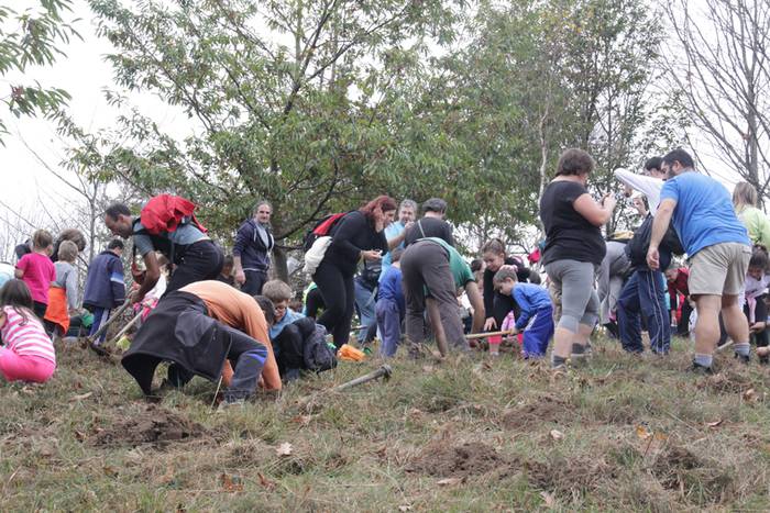 Eskola txikiak eta ner group 63 1447508285535