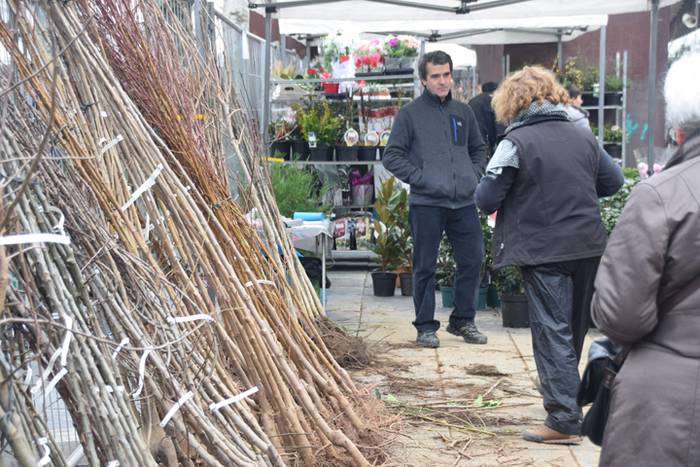 Zuhaitz Azoka, Tolosa, 2017 6 1486819596569