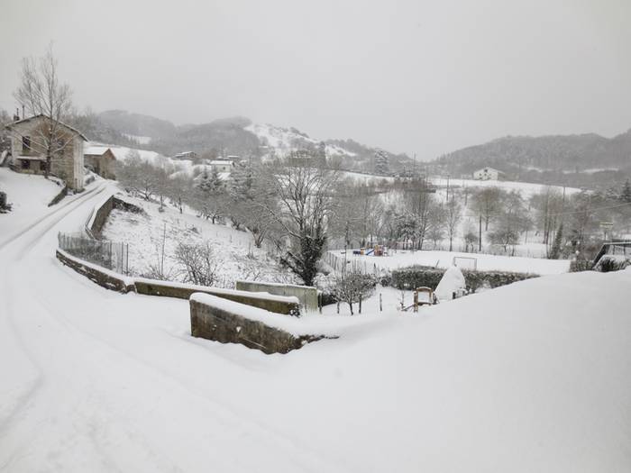 Argazki galeria: Tolosaldea, 42 1519809917028