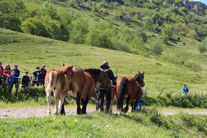 Larre irekiera Larraitzen 20 92 1493640225509