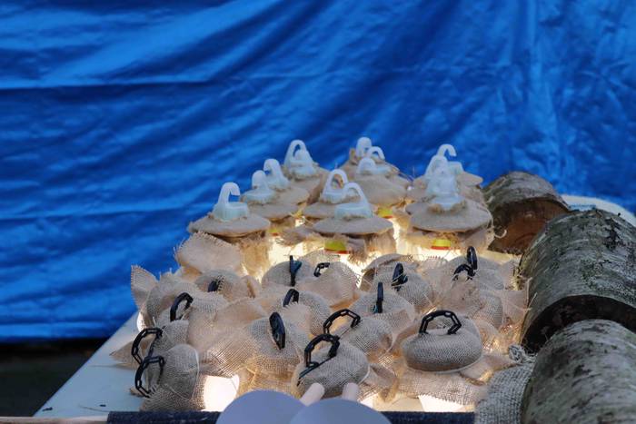 Amasa-Villabonako txikienak  12 1608486251752