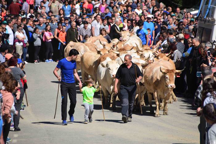 Larrerati dituzte abereak Ar 37 1556716301306