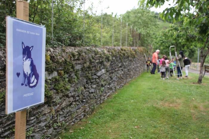 Txakur kakak jasotzeko karte 29 1653302378014