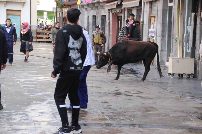 Soka zintzilik eta muturrak  29 1646140697411