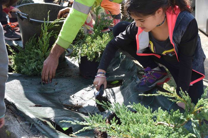 Zuhaitz Eguna ospatzen ari d 21 1553854274193