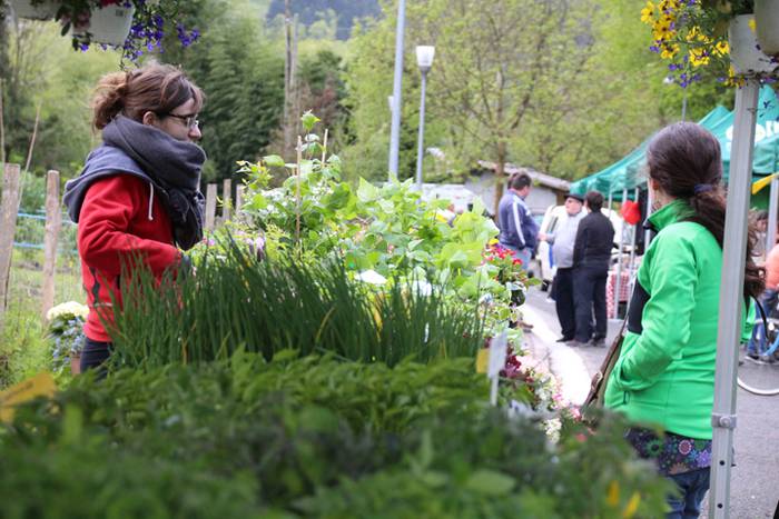 Alegako azoka ekologikoa 6 1462113307225