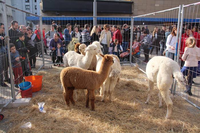 Tolosa Gabonetako Azoka berezia 2015 67 1450532639037