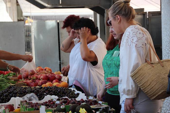 tolosako zokara bisita gidat 25 1657363890870