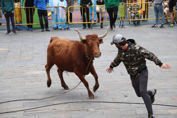 Zezenaren aurrean korrika 13 1551703527967