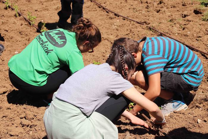 Erein dituzte lehen piperrak 18 1559303468956