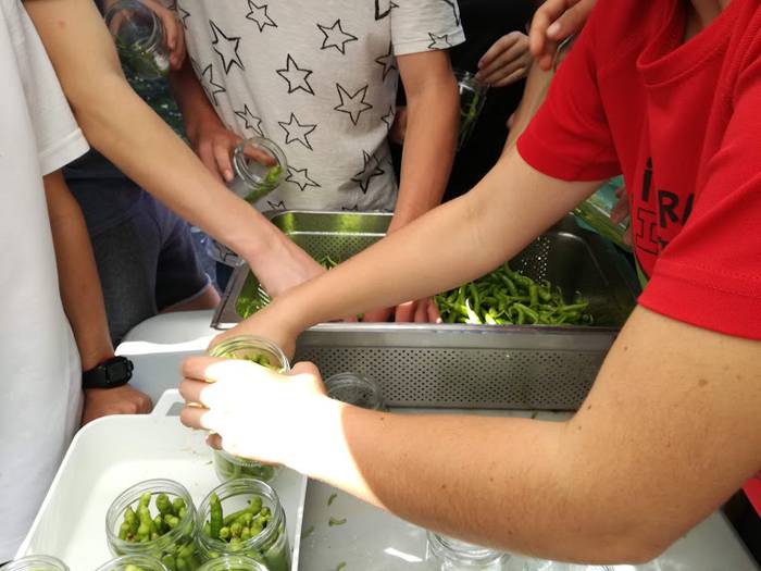 Ibarrako piperrak biltzen ar 15 1538055429517