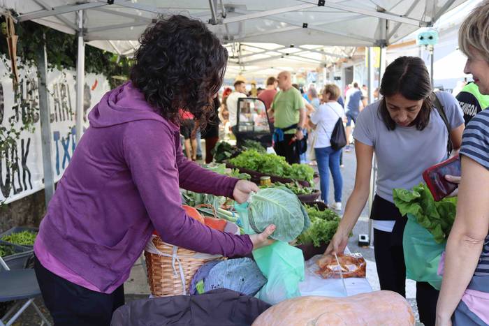 Zizurkilgo herrigunea azoka  15 1665320437974