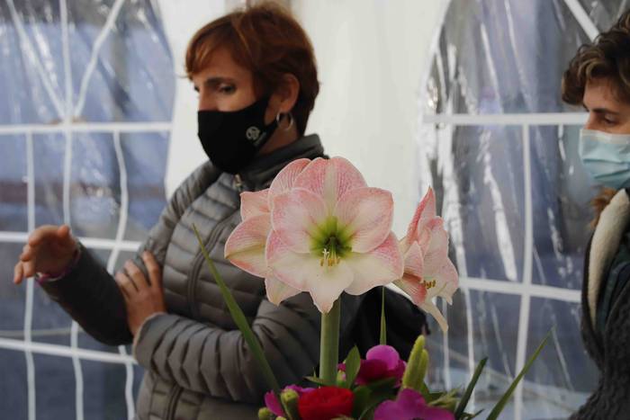 VI. Lanbide Heziketa Azoka 13 1619175150539