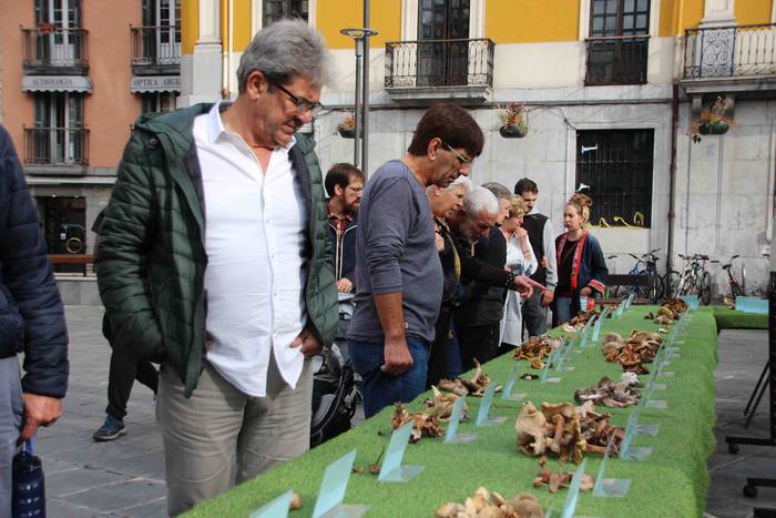 5.000 kilo txanpinoi saltsan 2 1571486529210